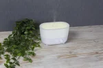 Aroma mitrinātājs - Image 5
